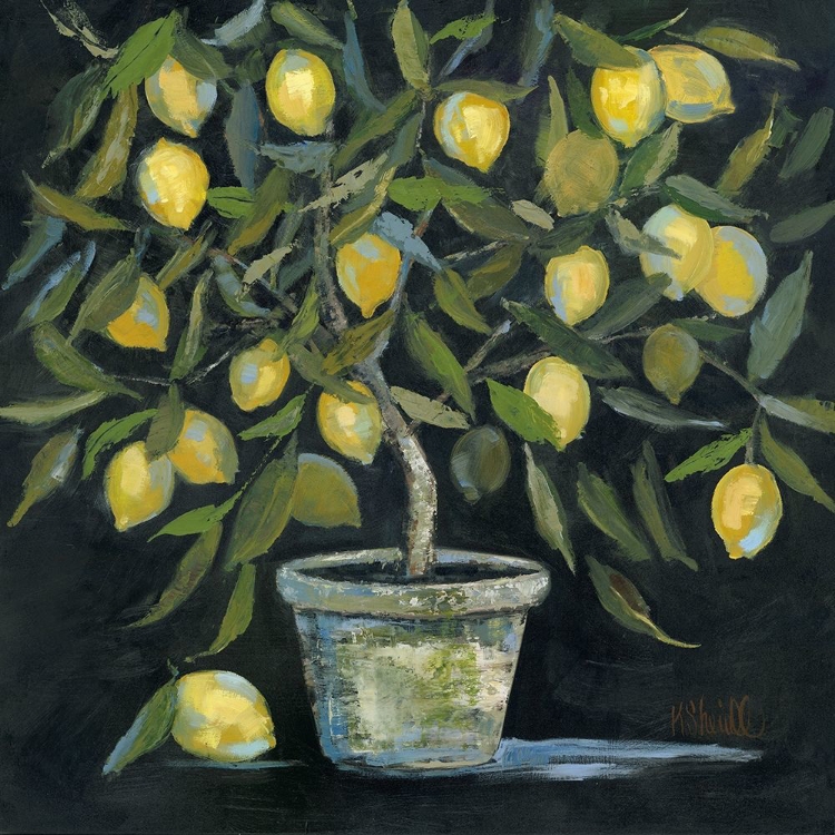 Picture of LEMON TREE