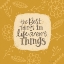 Picture of THE BEST THINGS IN LIFE ARENT THINGS