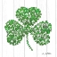 Picture of SHAMROCK