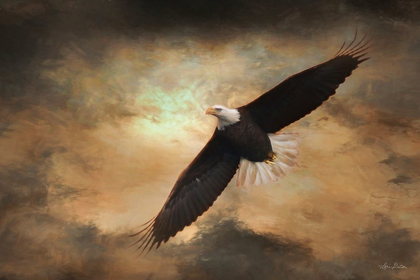 Picture of SOARING EAGLES