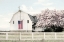 Picture of BROWNSVILLE PATRIOT