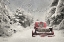 Picture of WINTER WONDERLAND  