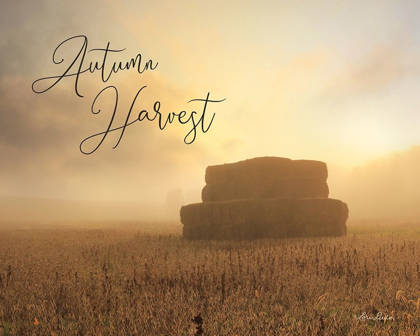 Picture of AUTUMN HAY HARVEST    