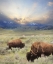 Picture of GREAT AMERICAN WEST       