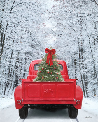 Picture of SNOWY DRIVE IN A FORD