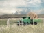 Picture of HAY FOR SALE