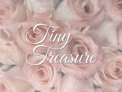 Picture of TINY TREASURE   