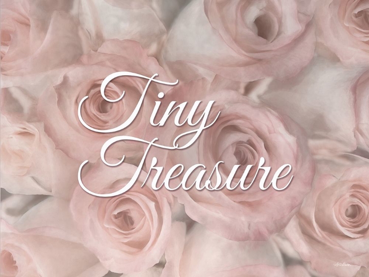 Picture of TINY TREASURE   