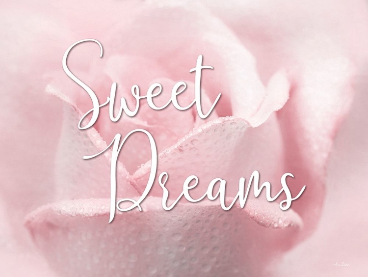 Picture of SWEET DREAMS