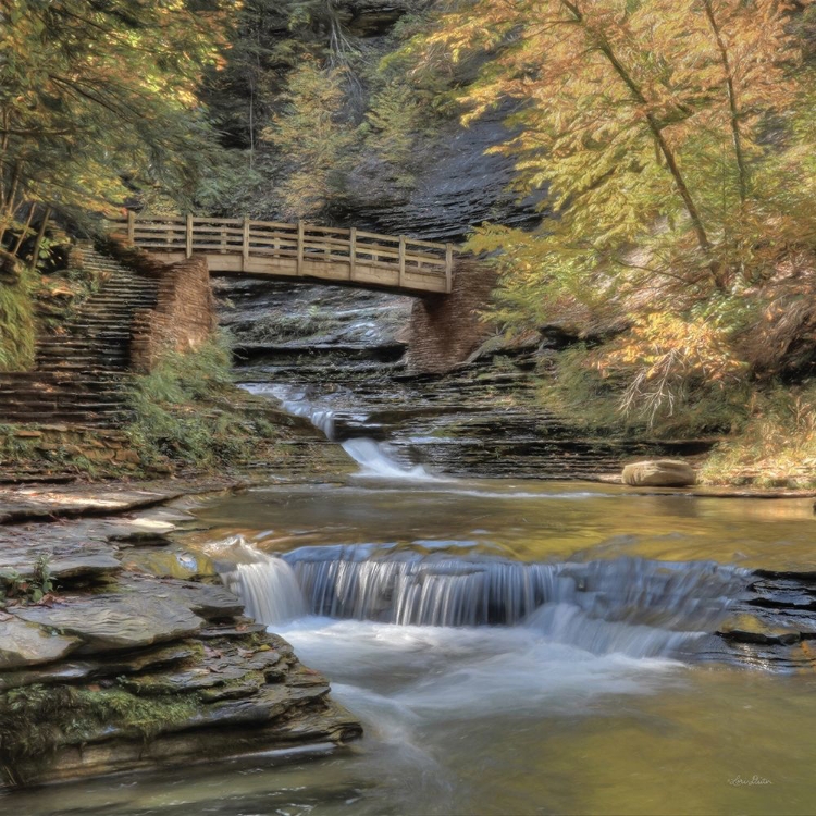 Picture of AUTUMN AT STONY BROOK  