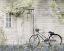 Picture of BLUE BIKE AT BARN     