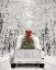 Picture of SNOWY DRIVE IN A WHITE FORD