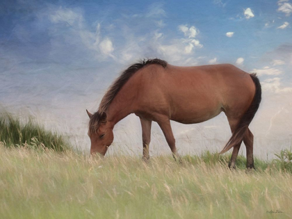 Picture of ASSATAEGUE HORSE