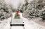 Picture of PICKING UP THE TREE