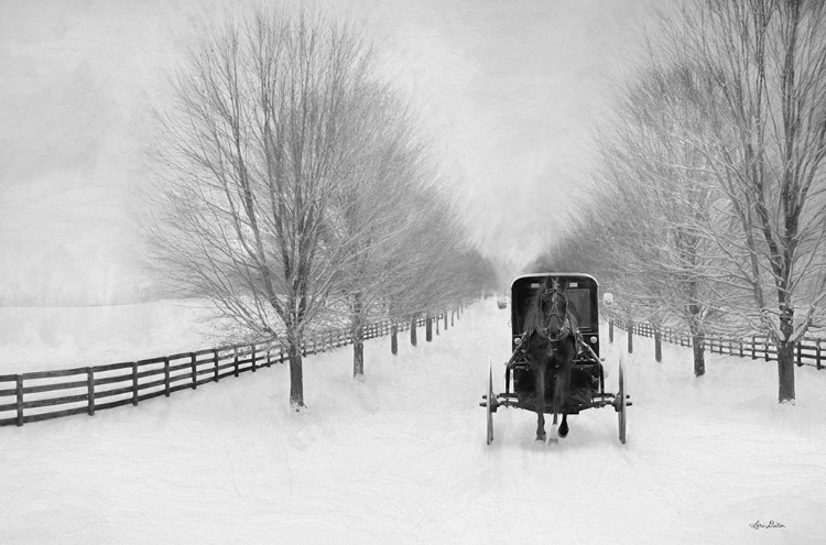 Picture of SNOWY AMISH LANE