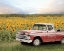 Picture of TRUCK WITH SUNFLOWERS