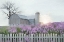 Picture of SPRING BLESSINGS
