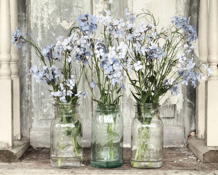 Picture of BLUE ROADSIDE BEAUTIES 