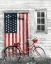 Picture of PATRIOTIC BICYCLE