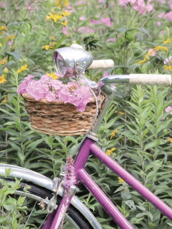 Picture of PINK GARDEN BIKE