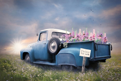 Picture of BLUE FORD WITH FOXGLOVE FLOWERS