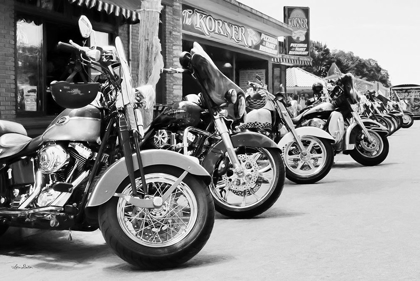 Picture of BIKE WEEK  