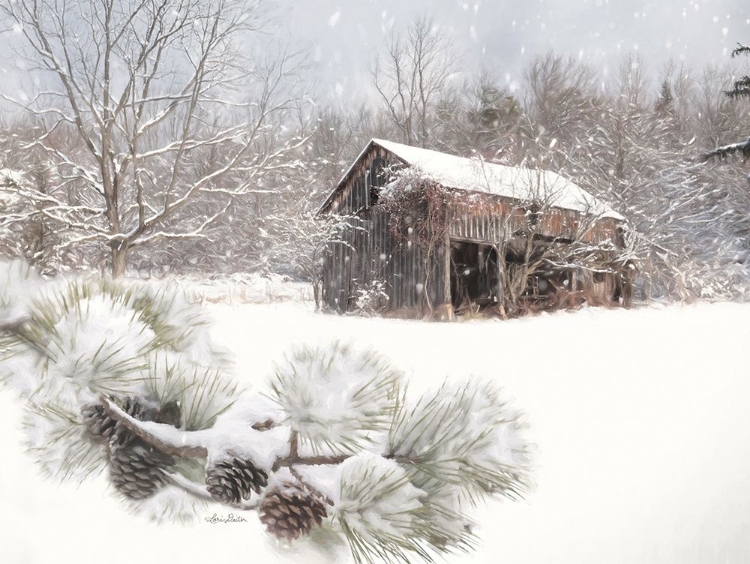 Picture of PINE RIDGE FARM