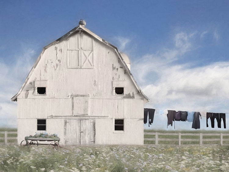 Picture of AMISH LAUNDRY