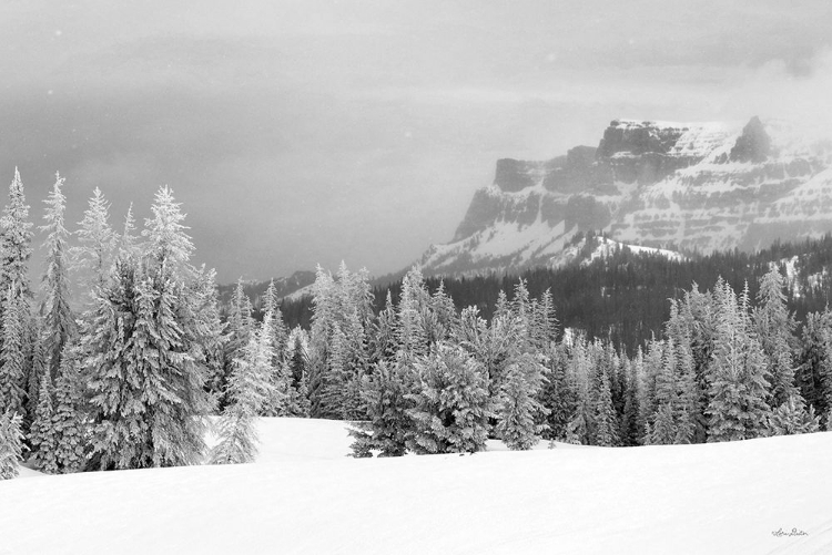 Picture of SNOWY LAVA MOUNTAIN  