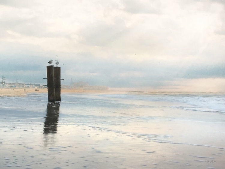 Picture of SUNRISE AT THE BEACH