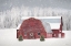 Picture of RED CHRISTMAS  