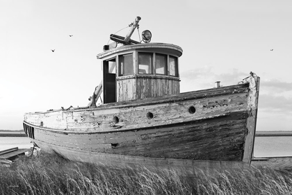 Picture of THIS OLD BOAT I