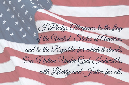 Picture of I PLEDGE ALLEGIANCE I