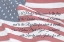 Picture of I PLEDGE ALLEGIANCE I