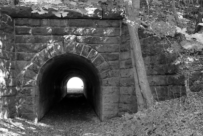 Picture of JUNIATA TUNNEL