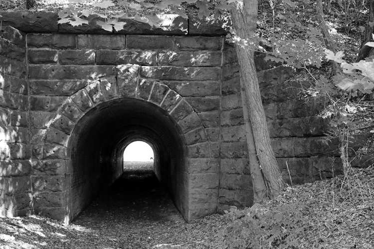 Picture of JUNIATA TUNNEL