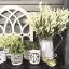 Picture of BLACK AND GREEN STILL LIFE