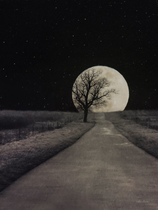 Picture of MOONLIT COUNTRY ROAD