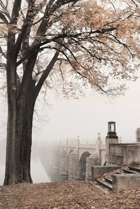 Picture of MARKET STREET IN AUTUMN