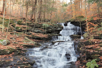 Picture of WATERFALL STEPS AT PIGEON RUN