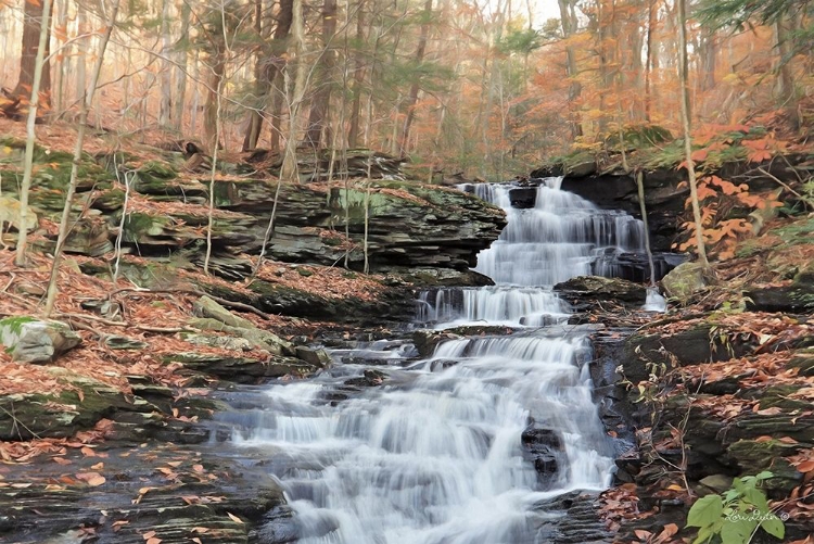 Picture of WATERFALL STEPS AT PIGEON RUN