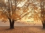 Picture of MAKE TODAY AMAZING
