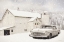 Picture of NEW YORKER IN THE SNOW    
