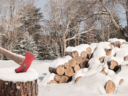 Picture of SNOWY WOOD PILE    