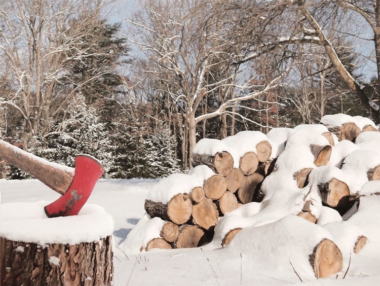 Picture of SNOWY WOOD PILE    