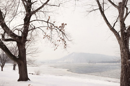 Picture of SNOWY SUSQUEHANNA  