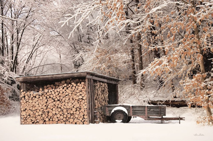 Picture of FIREWOOD SHED   