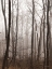 Picture of EMPTINESS  