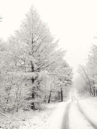 Picture of BERRY MOUNTAIN ROAD   