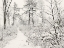 Picture of WINTER WALK   